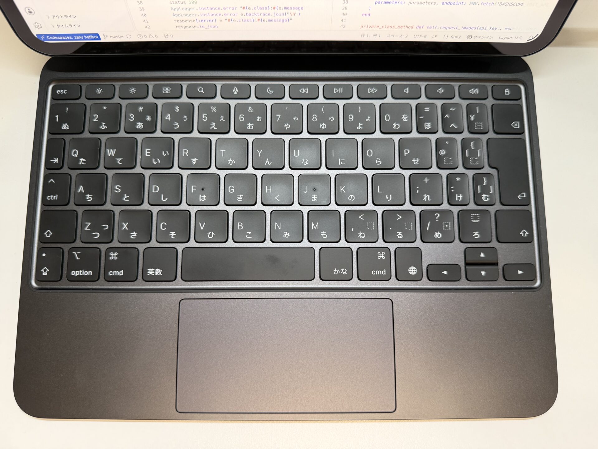 ESCキーを含むキー列とトラックパッド、パームレストが写るMagic Keyboard